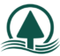Pacific Forest